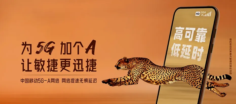 安新县安新县圈头乡 移动宽带